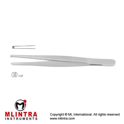 Dissecting Forceps 2 x 3 Teeth Stainless Steel, 13 cm - 5"